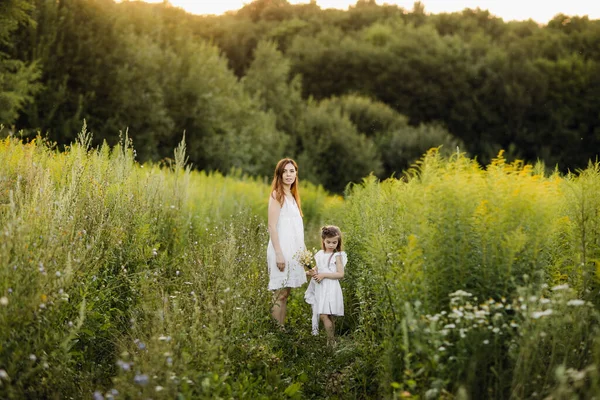 Matka s dcerou kráčející po venkovské cestě, pozadí letní louka západ slunce, pohled zezadu — Stock fotografie