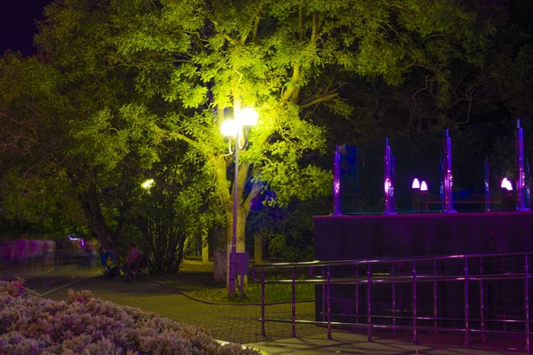 晚上去金湾一带的海滨。 树上有一盏灯笼,是紫色和绿色的. 在背景下，人们走起路来一片朦胧。 长期曝光的照片。 Krasnodar地区Anapa — 图库照片