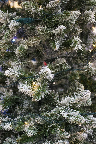 Texture de mur décoré avec des guirlandes et des branches de sapin vert, décorations de Noël fond — Photo
