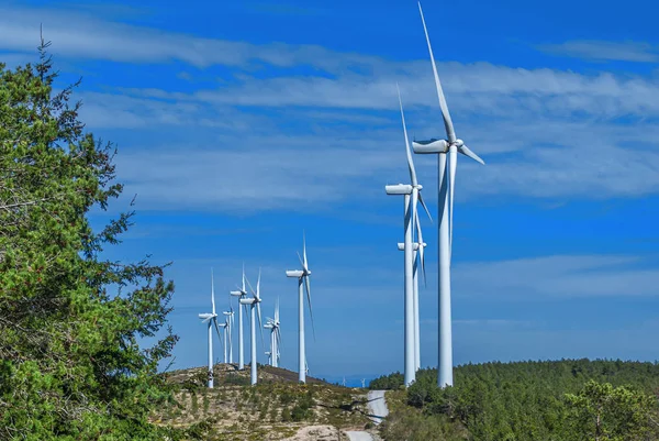 Beyaz rüzgar elektrik türbinleri, orman, dağlar ve baharda mavi gökyüzü.