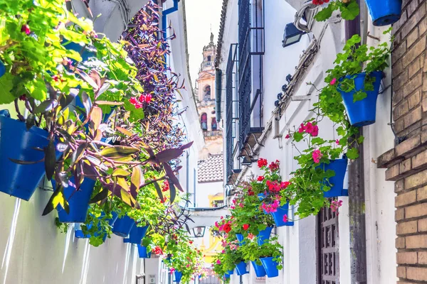 Calleja de las Flores, Katedral 'in (Mezquita) çan kulesinin manzarası. Cordoba, İspanya. 