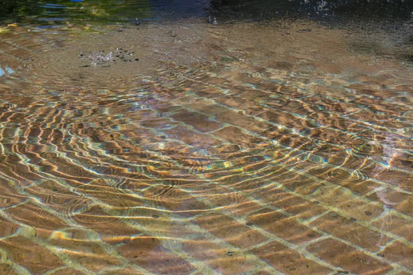 Круги Прозрачной Воде Брызги Фонтана Кирпичным Дном Монетами Солнечную Погоду — стоковое фото