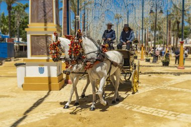 14 Mayıs 2019 'da, İspanya' nın Endülüs kentinde Jerez de la Frontera 'daki at arabasında geleneksel kırmızı ve sarı püsküllü bir çift açık gri at.