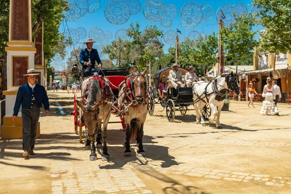 At Feria, Jerez de la Frontera, Endülüs, İspanya, 14 Mayıs 2019