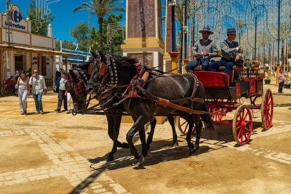 At Feria, Jerez de la Frontera, Endülüs, İspanya, 14 Mayıs 2019