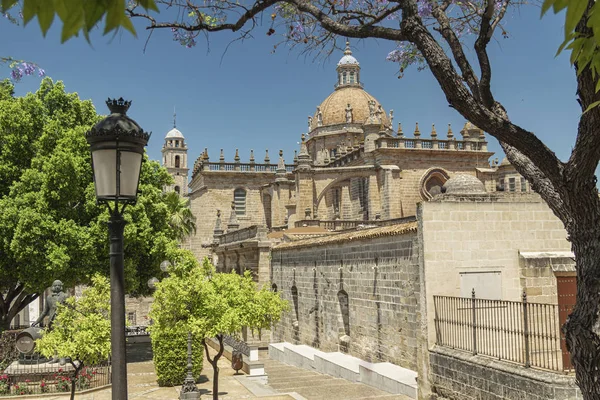 Katedral ve Rosa Caddesi manzarası. Jerez de la Frontera, Endülüs, İspanya.