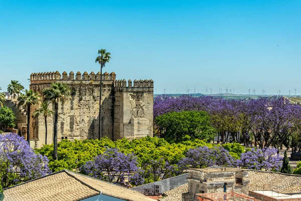 Spanya Nın Jerez Frontera Kentindeki Katedral Çan Kulesinin Çan Kulesindeki — Stok fotoğraf