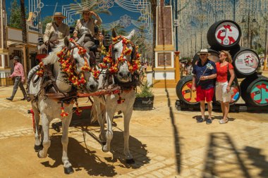 Bir çift açık gri renkli Endülüs atı, 14 Mayıs 2019 'da Jerez de la Frontera, Endülüs, İspanya' daki Feria de Caballo fuarında geleneksel bir araca bağlandı..