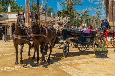 Gözlerinde at gözlüğü olan, mürettebata bağlı bir çift Dark Bay atı. At Feria (Feria de Caballo), Jerez de la Frontera, Endülüs, İspanya, 14 Mayıs 2019