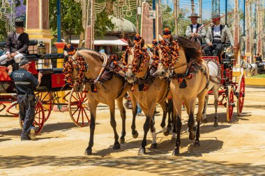 Feria (Feria de Caballo), Jerez de la Frontera, Endülüs, İspanya, 14 Mayıs 2019