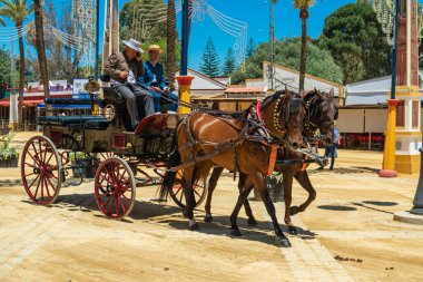 At arabası süren bir arabacı Horse Feria (Feria de Caballo), Jerez de la Frontera, Endülüs, İspanya, 14 Mayıs 2019