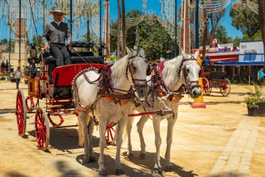 Ekip, Endülüs atları tarafından Horse Feria (Feria de Caballo), Jerez de la Frontera, Endülüs, İspanya, 14 Mayıs 2019