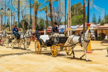 Açık gri Endülüs atlarından faydalanıp Feria (Feria de Caballo), Jerez de la Frontera, Endülüs, İspanya, 14 Mayıs 2019