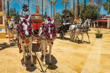 At Feria (Feria de Caballo), Jerez de la Frontera, Endülüs, İspanya, 14 Mayıs 2019 'da açık gri renkli Endülüs atları tarafından süslenmiş 3 vagon.