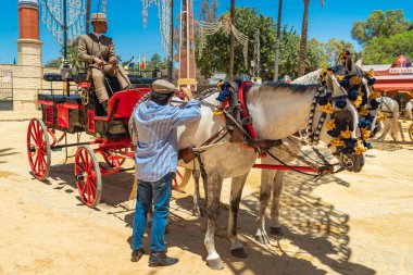 Horse Feria (Feria de Caballo), Jerez de la Frontera, Endülüs, İspanya, 14 Mayıs 2019