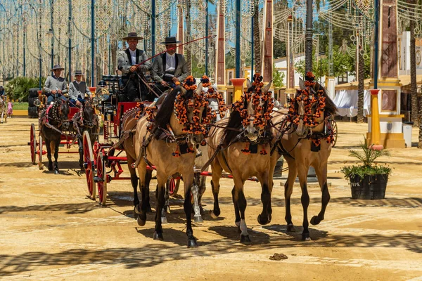 Feria (Feria de Caballo), Jerez de la Frontera, Endülüs, İspanya, 14 Mayıs 2019