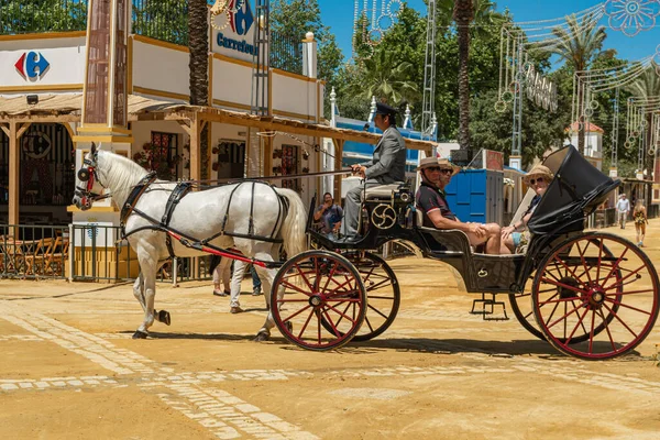 Açık gri at arabaya bağlandı. Yan görüş. At Feria (Feria de Caballo), Jerez de la Frontera, Endülüs, İspanya, 14 Mayıs 2019
