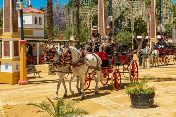 At Feria (Feria de Caballo), Jerez de la Frontera, Endülüs, İspanya, 14 Mayıs 2019