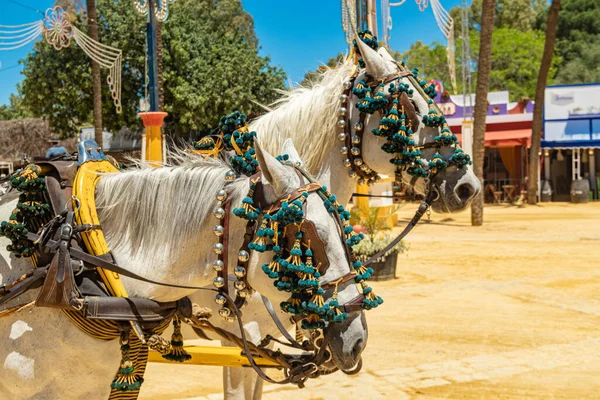 Mynning Hästar Festligt Dekorerad Med Gröna Tofsar Och Silver Klockor — Stockfoto