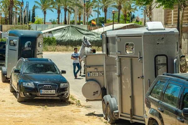 Jerez de la Frontera, Endülüs, İspanya 'daki Atlı Feria' ya varış. 14 Mayıs 2019