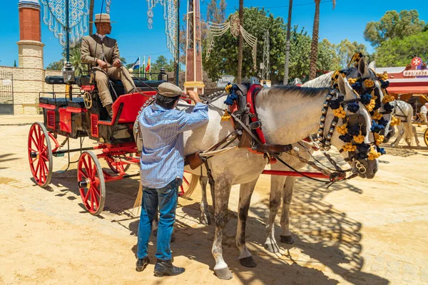 Horse Feria (Feria de Caballo), Jerez de la Frontera, Endülüs, İspanya, 14 Mayıs 2019
