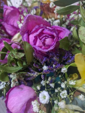 Küçük mor, beyaz çiçekler ve yeşil yapraklarla çevrili solgun bir leylak gülü Bud.