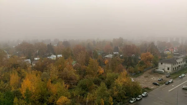 Yeşil ve sarı ağaçların ve alçak evlerin üzerindeki sis