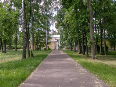 An asphalt path covered with poplar down between rows of green trees and grass leads to a yellow old building with white columns and a balcony