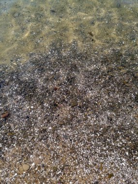 Beyaz gri çakıl taşları altın kuma dönüşüyor berrak sularda parlıyor