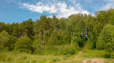 Yeşil bir ormanın altından bir manzara tepenin üstünde çalılık ve ortasında taş bir merdiven.
