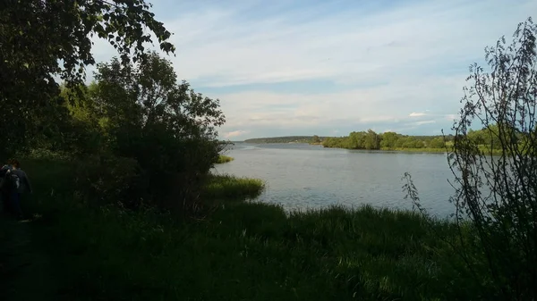 Widok Szerokiej Niebieskiej Rzeki Zielonymi Brzegami Porośniętymi Wysokimi Krzewami — Zdjęcie stockowe