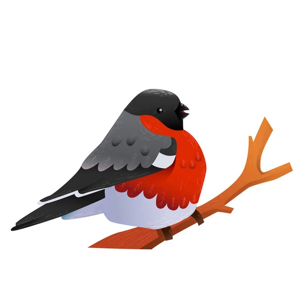 基于背景的可爱 Bullfinch 鸟矢量插画设计 — 图库矢量图片