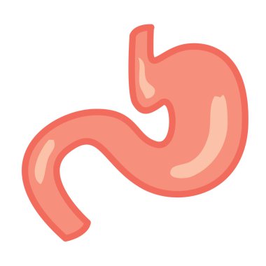 Vektör çizim tıbbi parmak izi renkli etiket. İnsan mide