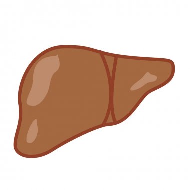 Vektör çizim tıbbi parmak izi renkli etiket. İnsan karaciğer