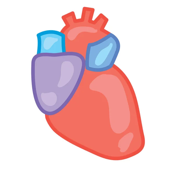 Εικονογράφηση Διάνυσμα Πολύχρωμο Αυτοκόλλητο Για Ιατρική Εκτυπώσεις Ανθρώπινη Καρδιά — Διανυσματικό Αρχείο
