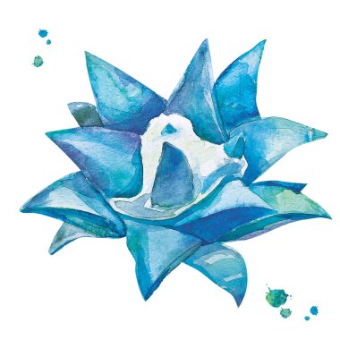 Kaktüs dikenli suluboya tarzında olmadan.