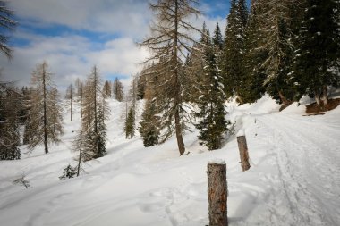 Pelmo İtalya 02 25 2018 yürümek-den geçerek dağın çevresinde kar