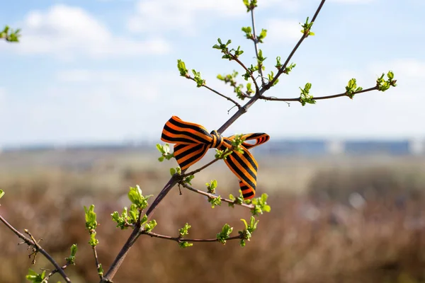 George Ribbon Tree Branches Ribbons Als Konzept Der Unabhängigkeit Und — Stockfoto