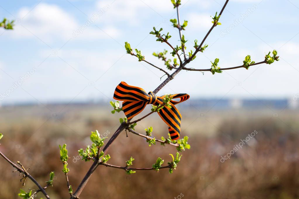 St. George's Ribbon on tree branches, Ribbons as a concept of independence and victory day in Russia