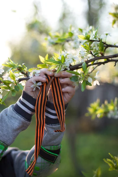 St. George\'s ribbon in the hands of a child as a symbol of victory and peace. Saint George ribbon tied on a tree. oncept of remembrance and victory day in Russia.