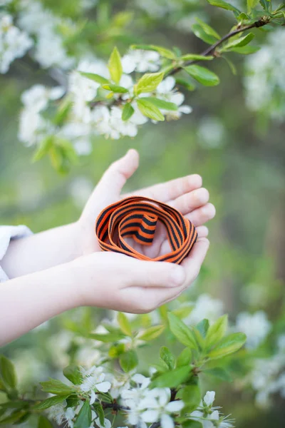 St. George\'s ribbon in the hands of a child. Saint George ribbon tied on a tree, as a concept of remembrance and victory day in Russia. Symbol of victory and peace