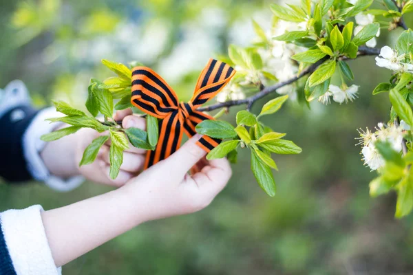 St. George\'s ribbon in the hands of a child. Saint George ribbon tied on a tree, as a concept of remembrance and victory day in Russia. Symbol of victory and peace