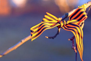 Aziz George kurdelesi, Rusya 'da zafer günü ve günün anısına bir ağaca bağlanmıştı. Ulusal bayram, zafer ve barışın sembolü