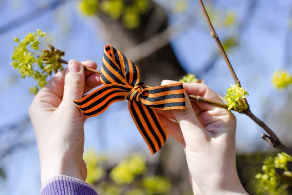 A close up of the hands that tie the St. George ribbon on a tree, a symbol of the holiday happy victory day in Russia