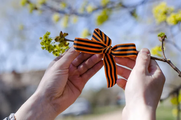 A close up of the hands that tie the St. George ribbon on a tree, a symbol of the holiday happy victory day in Russia