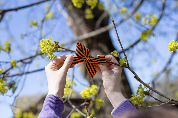 Eine Nahaufnahme Der Hände Die Das Georgsband Einen Baum Binden — Stockfoto