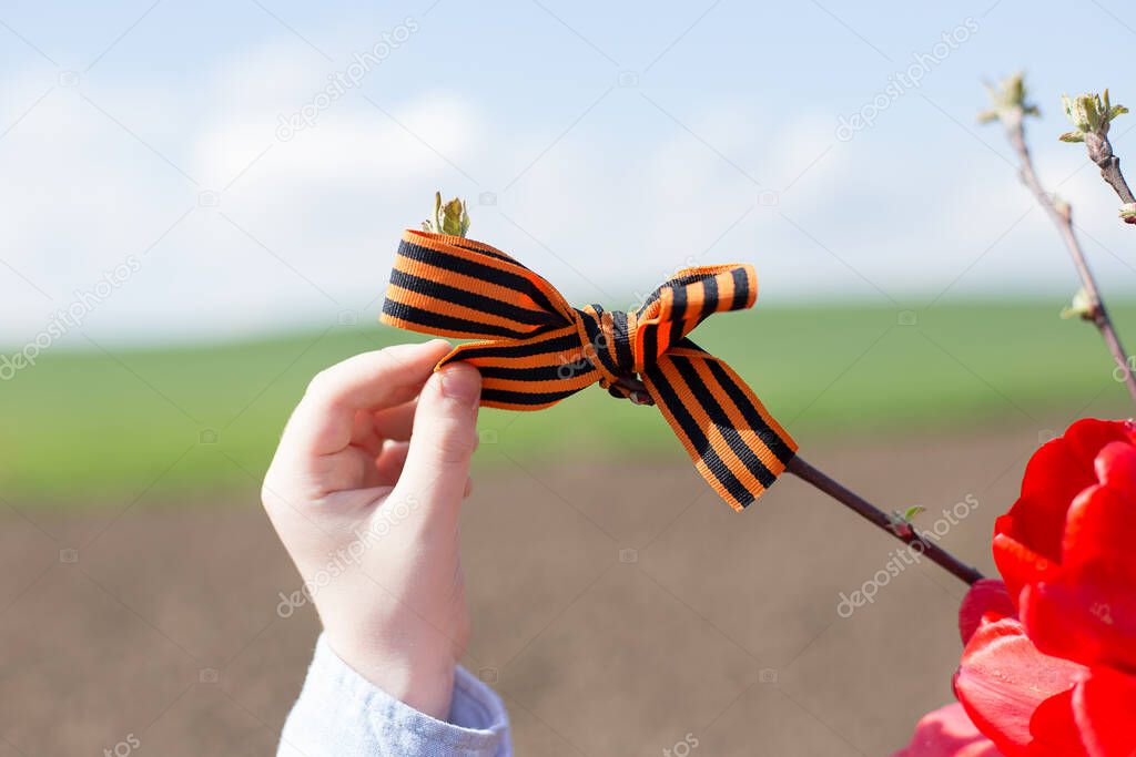 Tulips and St. George's ribbon in the hands of a child, in nature, the concept of victory day, may 9