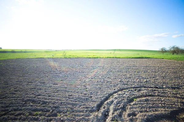 Champ Labouré Terres Arables Contre Ciel — Photo