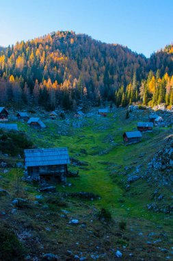 sabah erkenden, Bohinj güneş için bekleyen dağ Vadisi (Dedno polje)