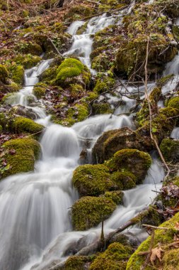 Su yosun üzerinde akıyor.